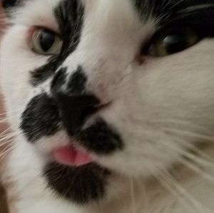 Meet your Posher, Liane